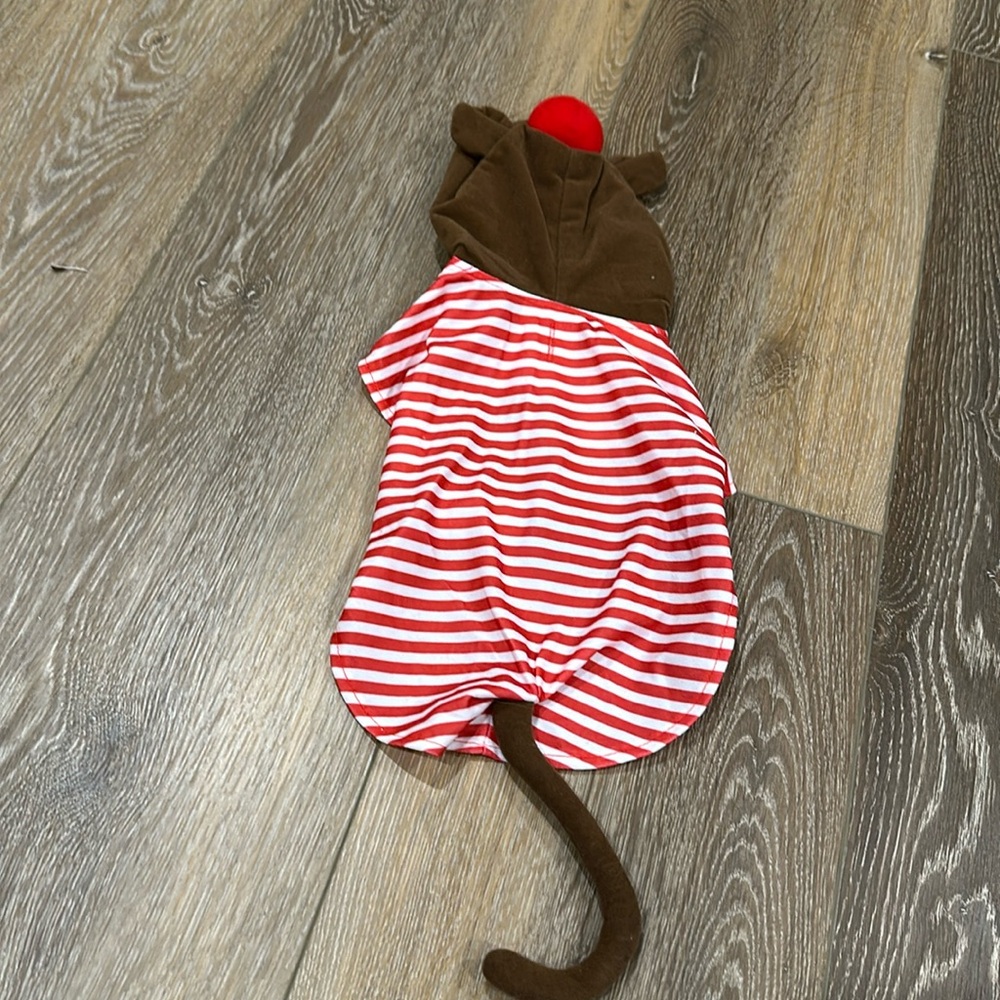 Flying Monkey Costume- Wizard of Oz